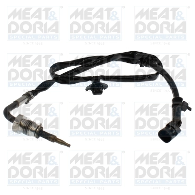 Sensor, exhaust gas temperature